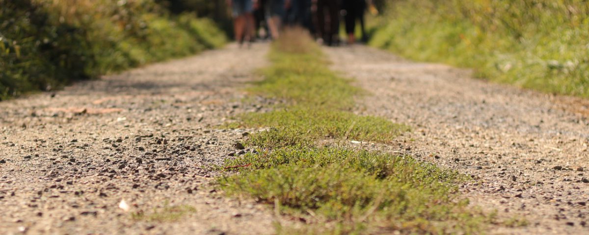 path-hike-nature-4593753 path, hike, nature-4593753.jpg